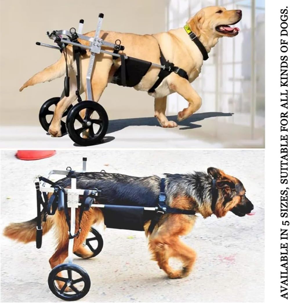 大型犬用車椅子（2輪）